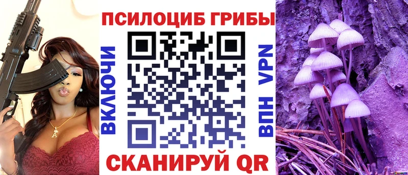 Псилоцибиновые грибы Psilocybe  Мариинский Посад 